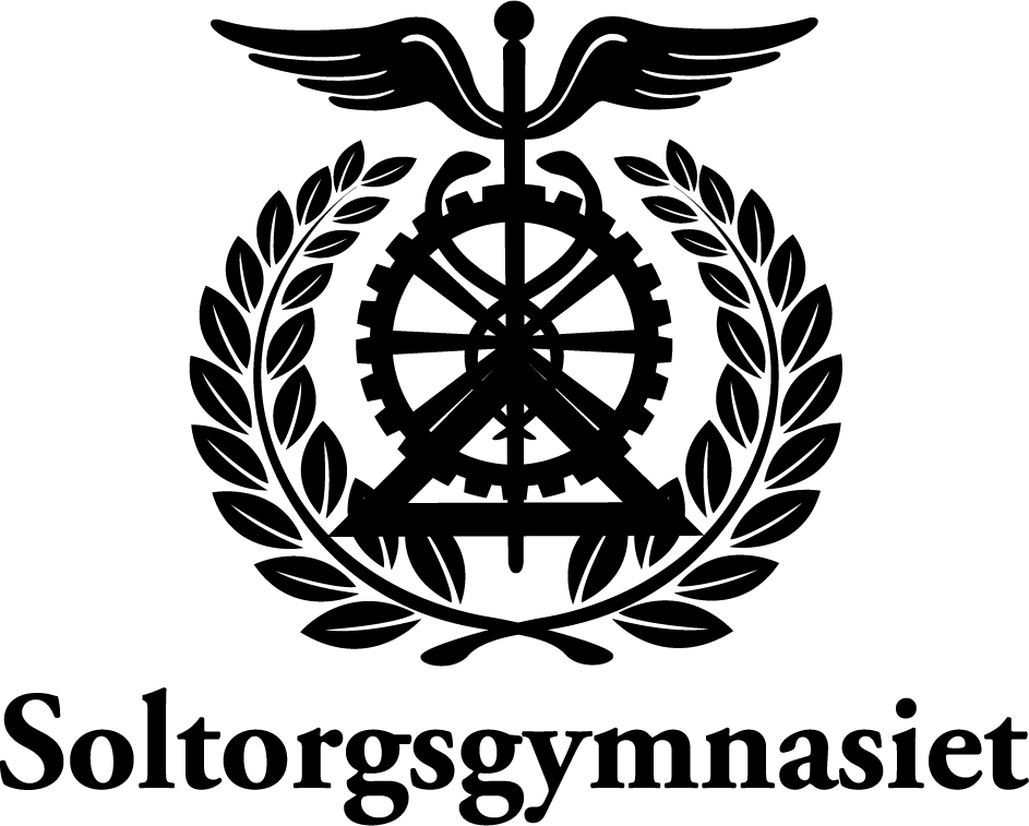 Soltorgsgymnasiet